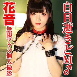 【無料】sacz349｜花音